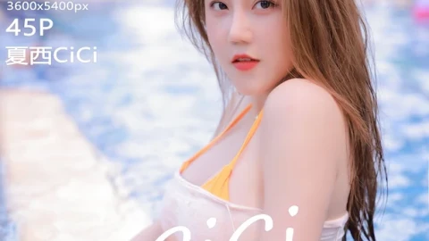 免费预告片在线播放大全